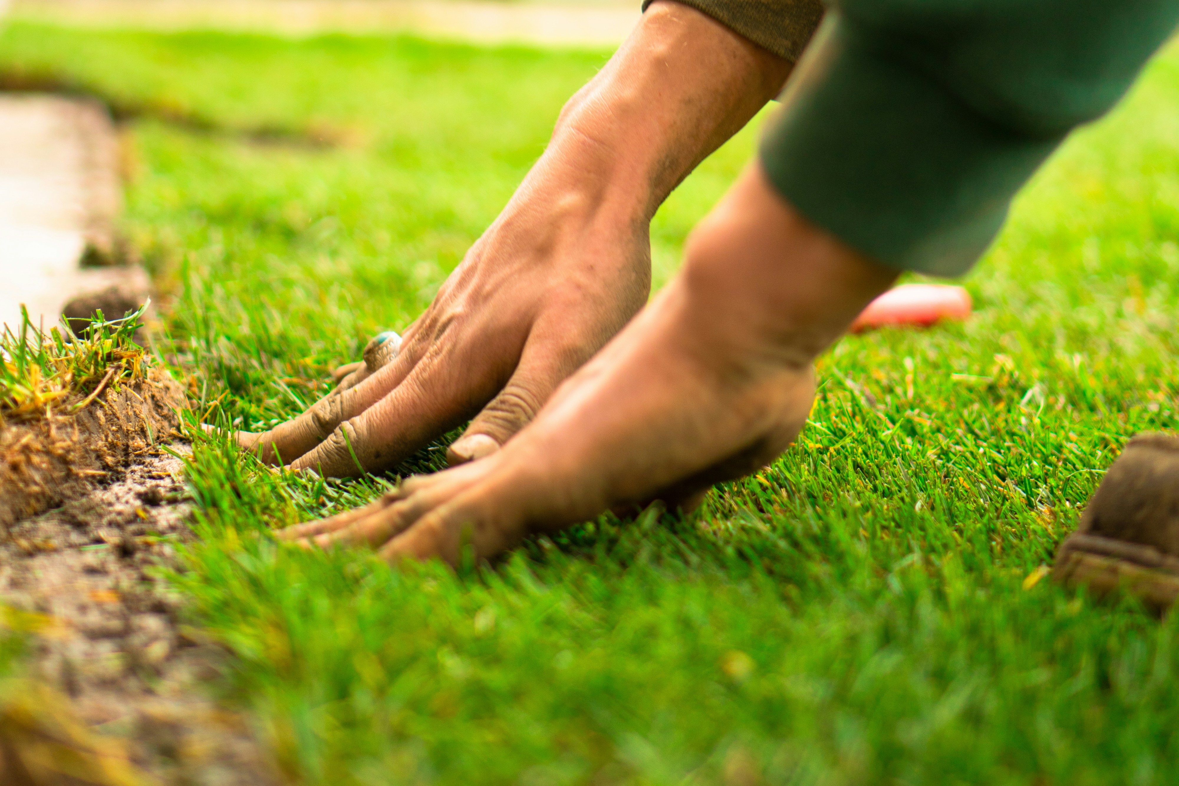 Lawn Maintenance & Care