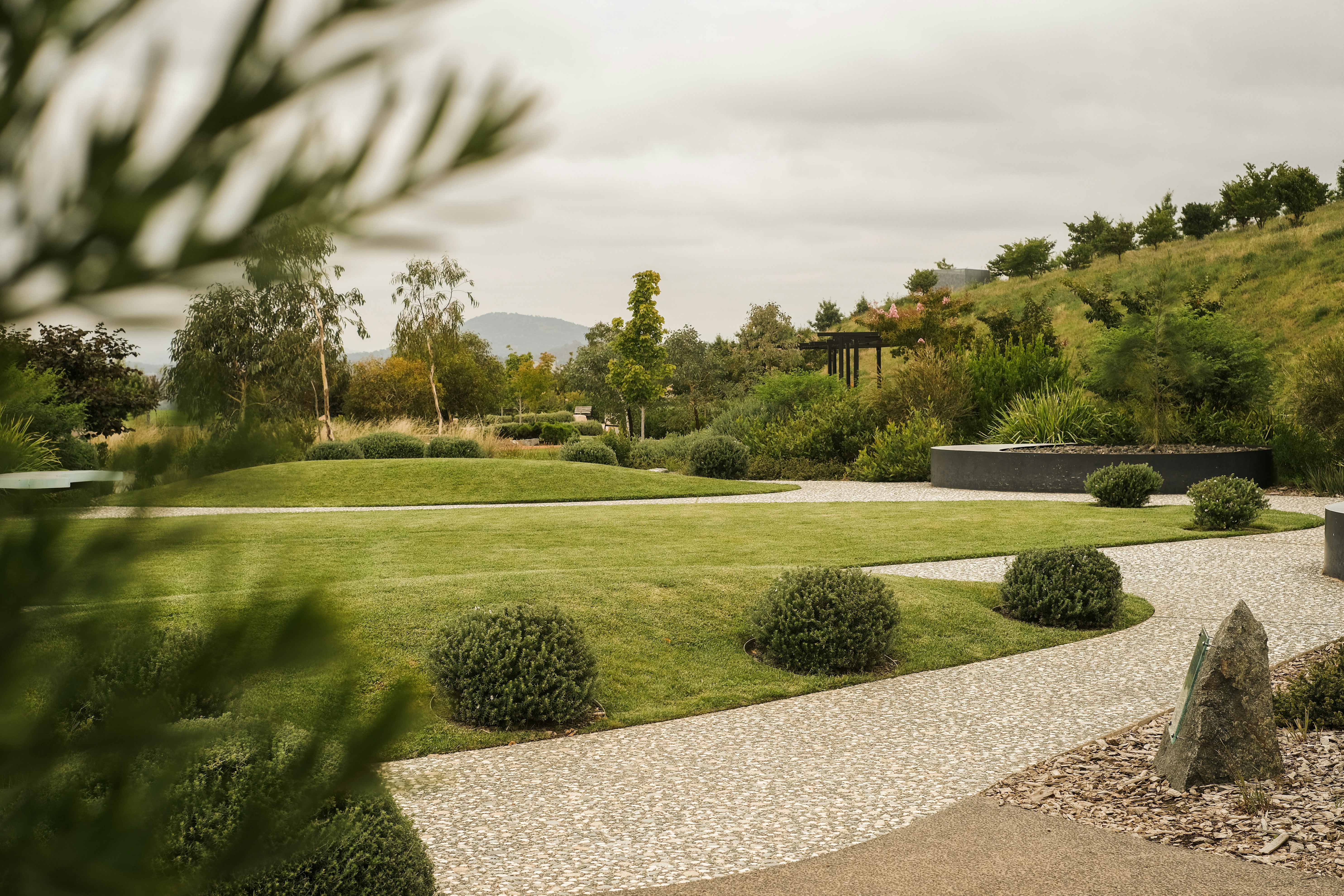 Commercial Lawn Care