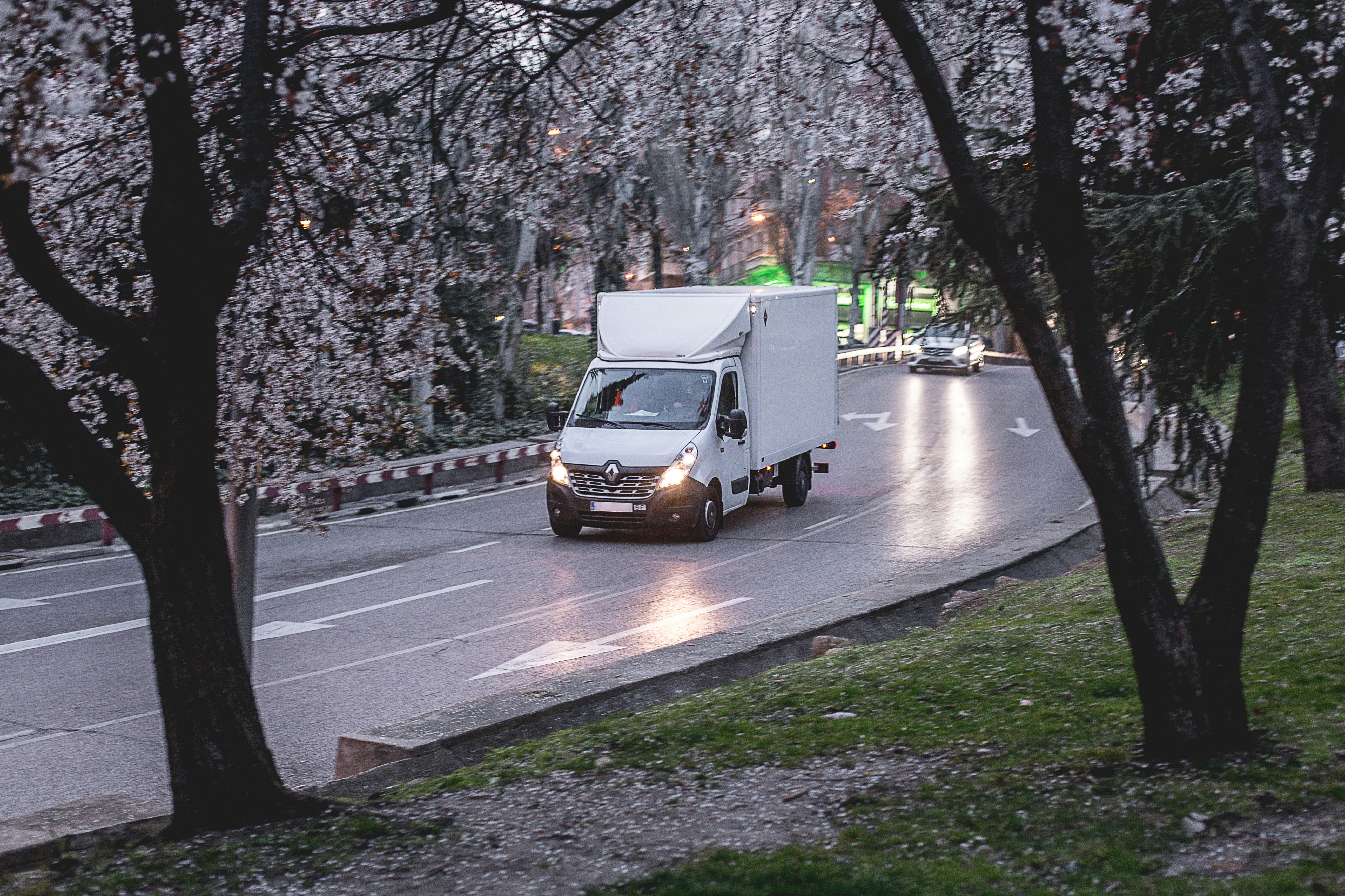 Residential Removals