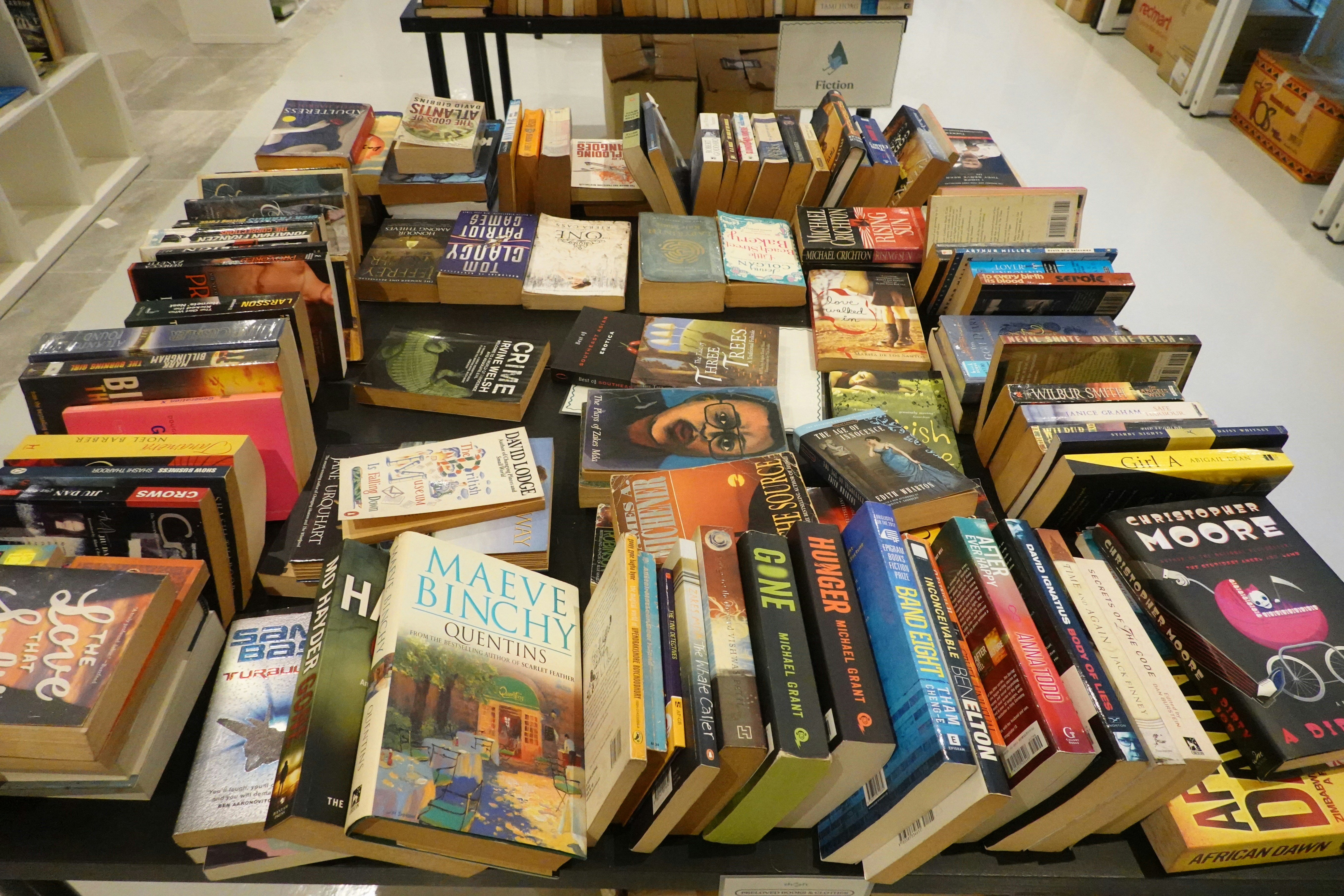 Author Workshops