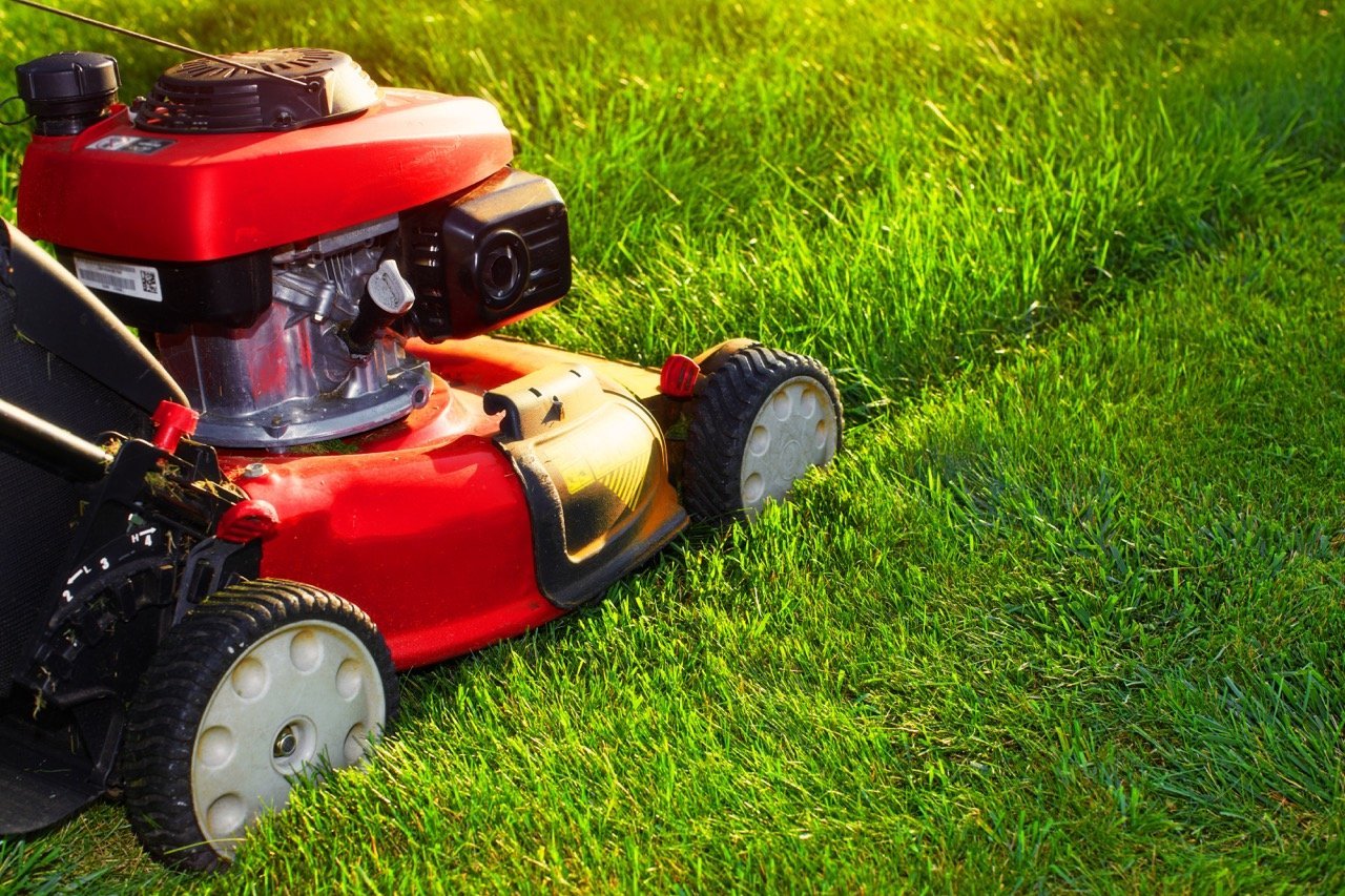 Lawn Mowing and Maintenance