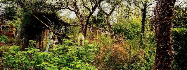 Garden Clean-Up