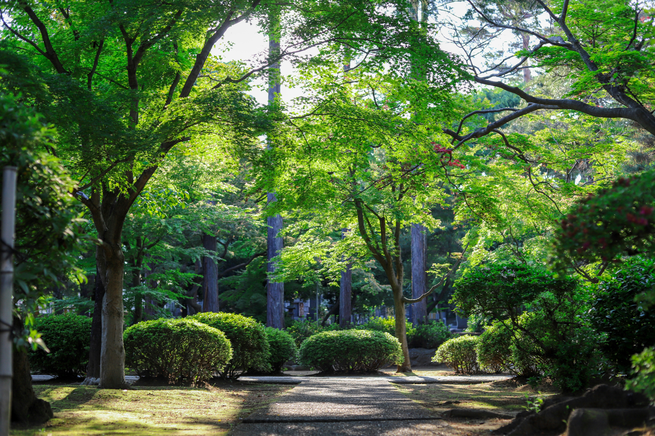 Holovka Gardening Services 