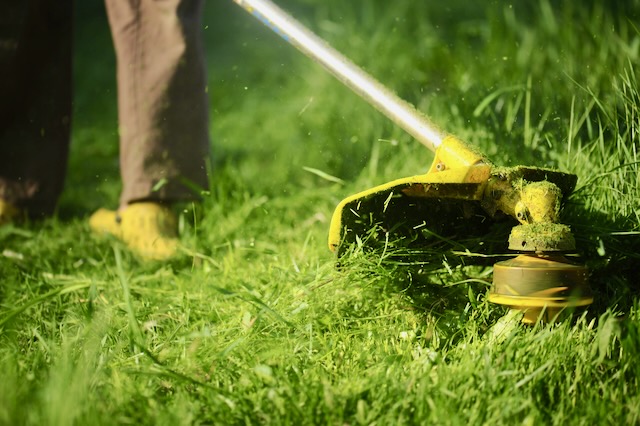 Slashing Overgrown Grass/Weeds