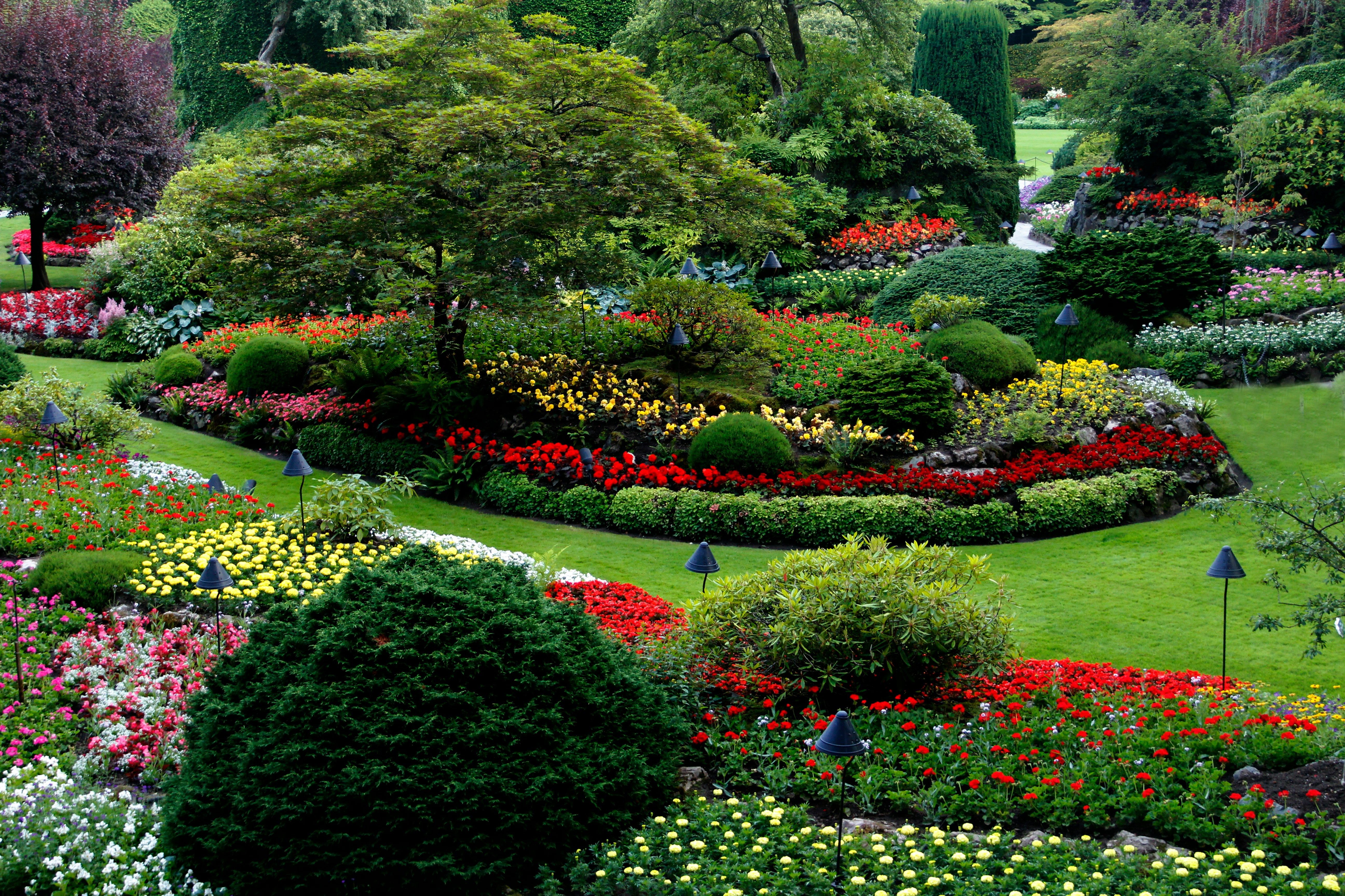About C.K Lawn & Garden Maintenance
