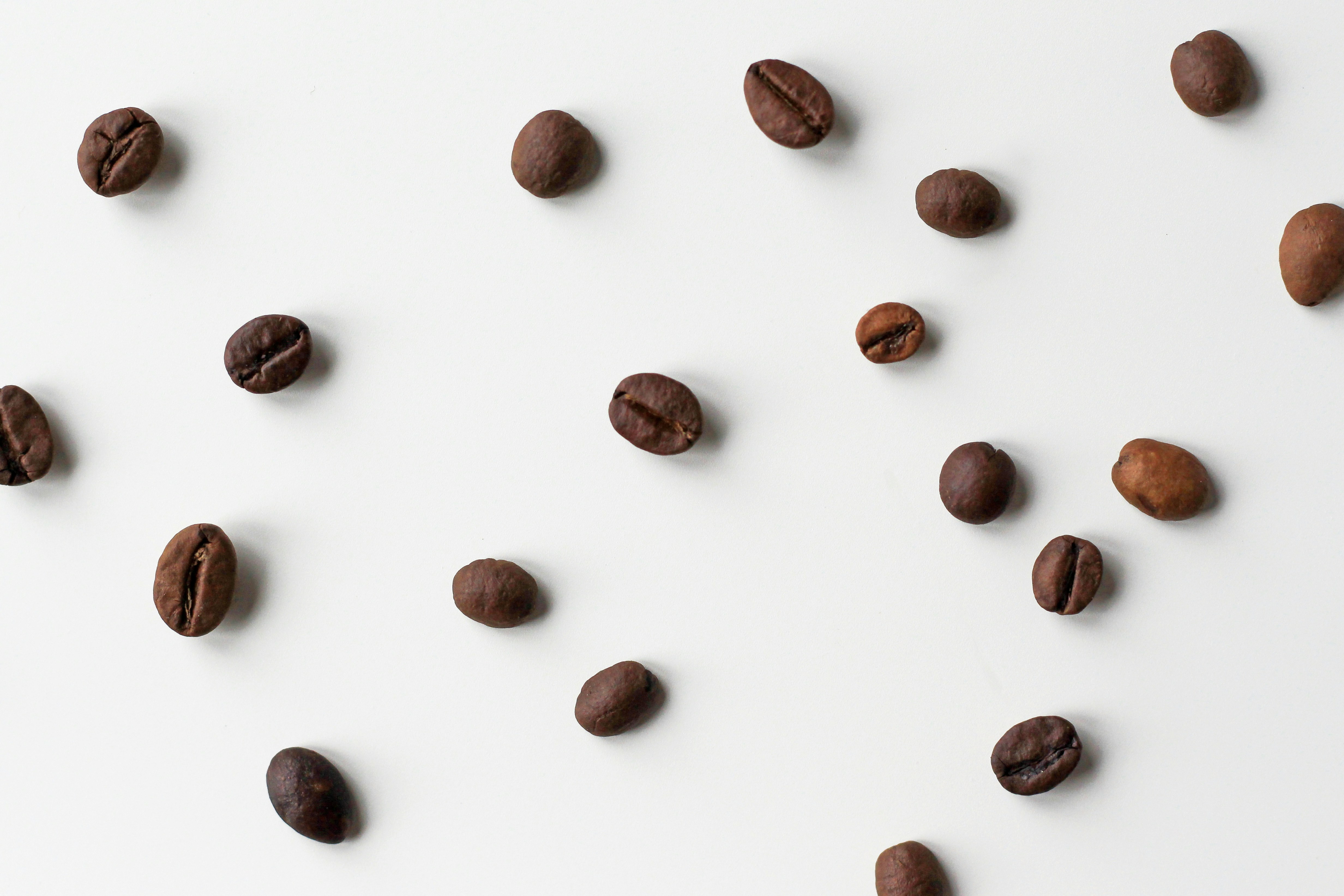 Specialty Coffee