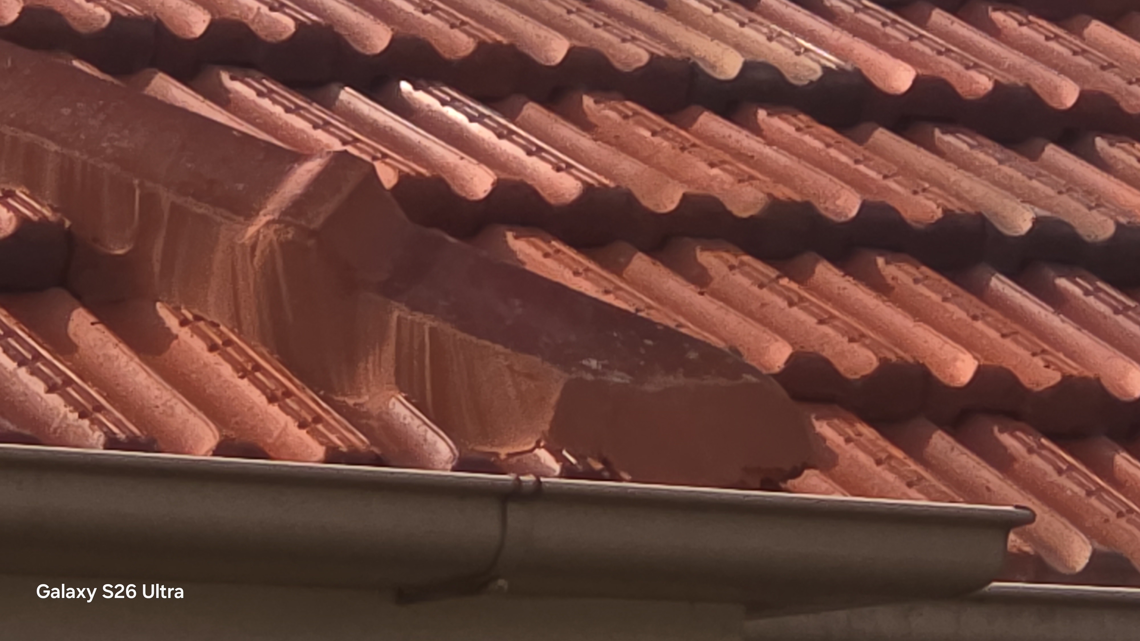 Roof Maintenance
