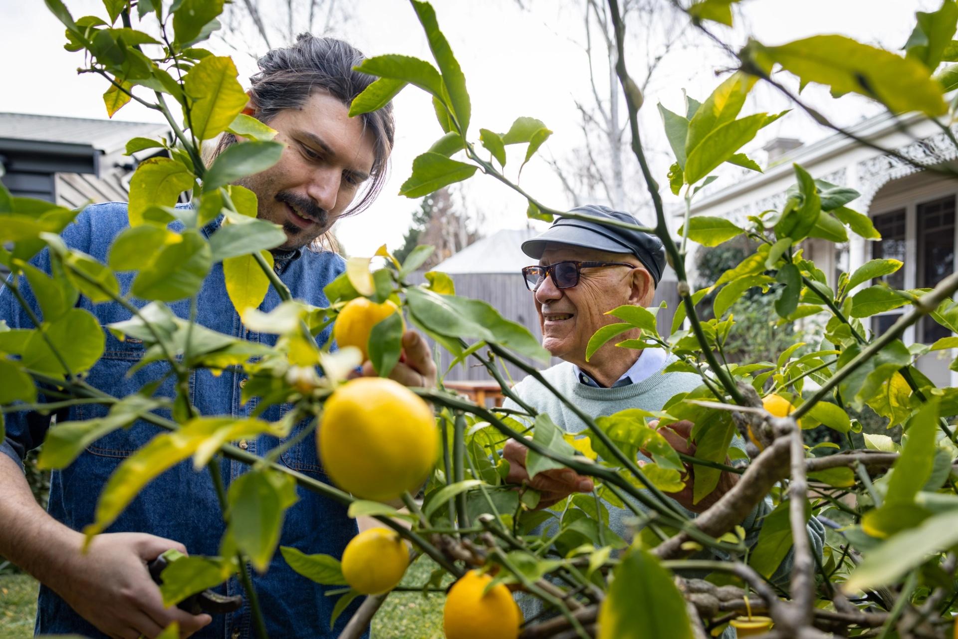 Gardening & Home Maintenance